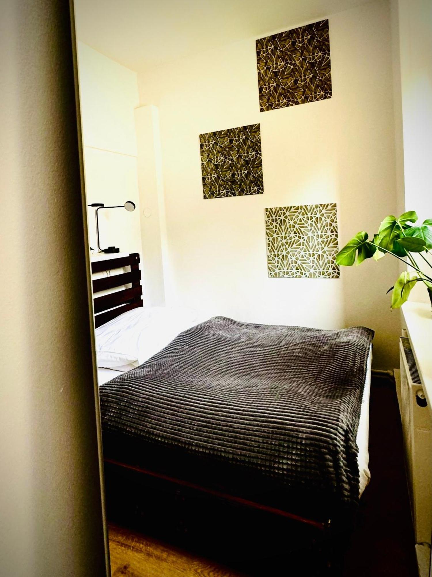 Cristal Apartament Krynica - Zdroj 외부 사진